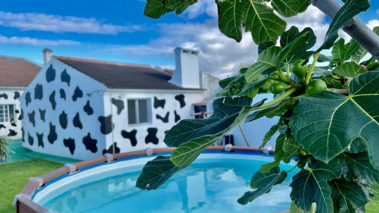 Azores Cow House Calhetas Eksteriør bilde